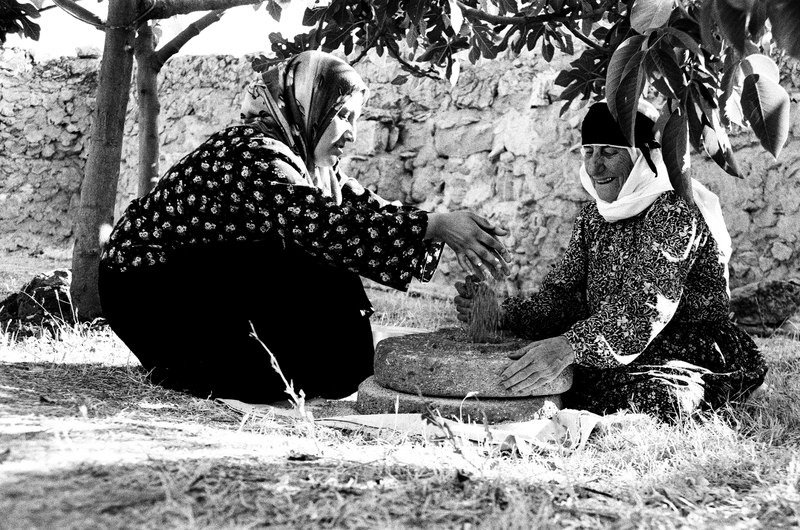 امرأتان تعملان معاً على رحى حجرية تحت شجرة